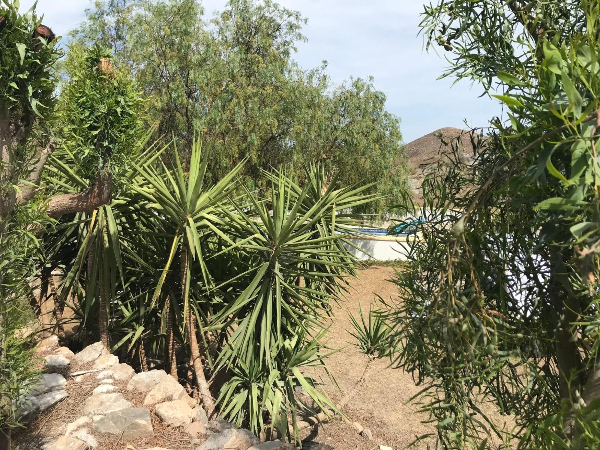Bella Vista Rural Retreat Διαμέρισμα Arboleas Εξωτερικό φωτογραφία