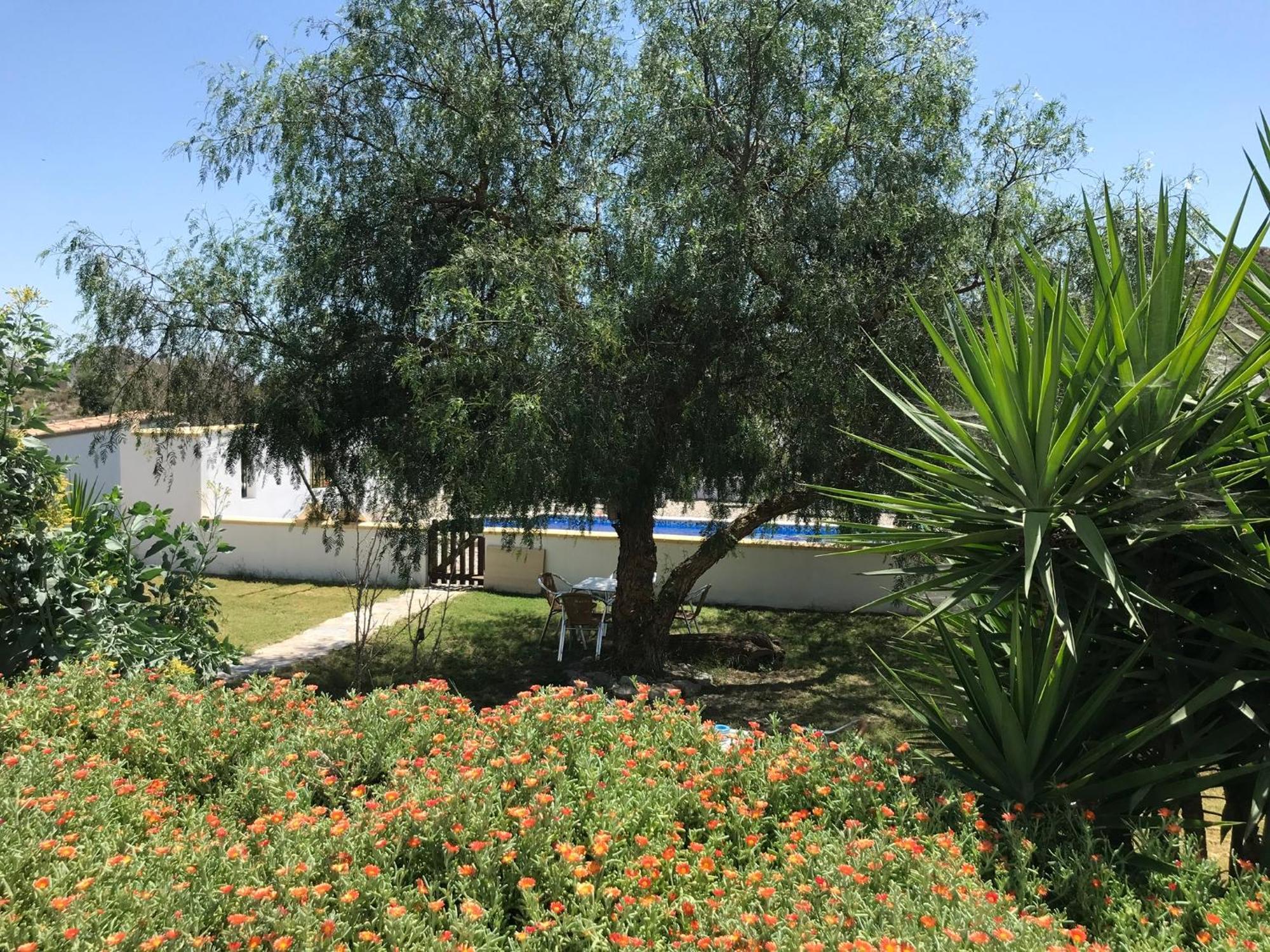 Bella Vista Rural Retreat Διαμέρισμα Arboleas Εξωτερικό φωτογραφία
